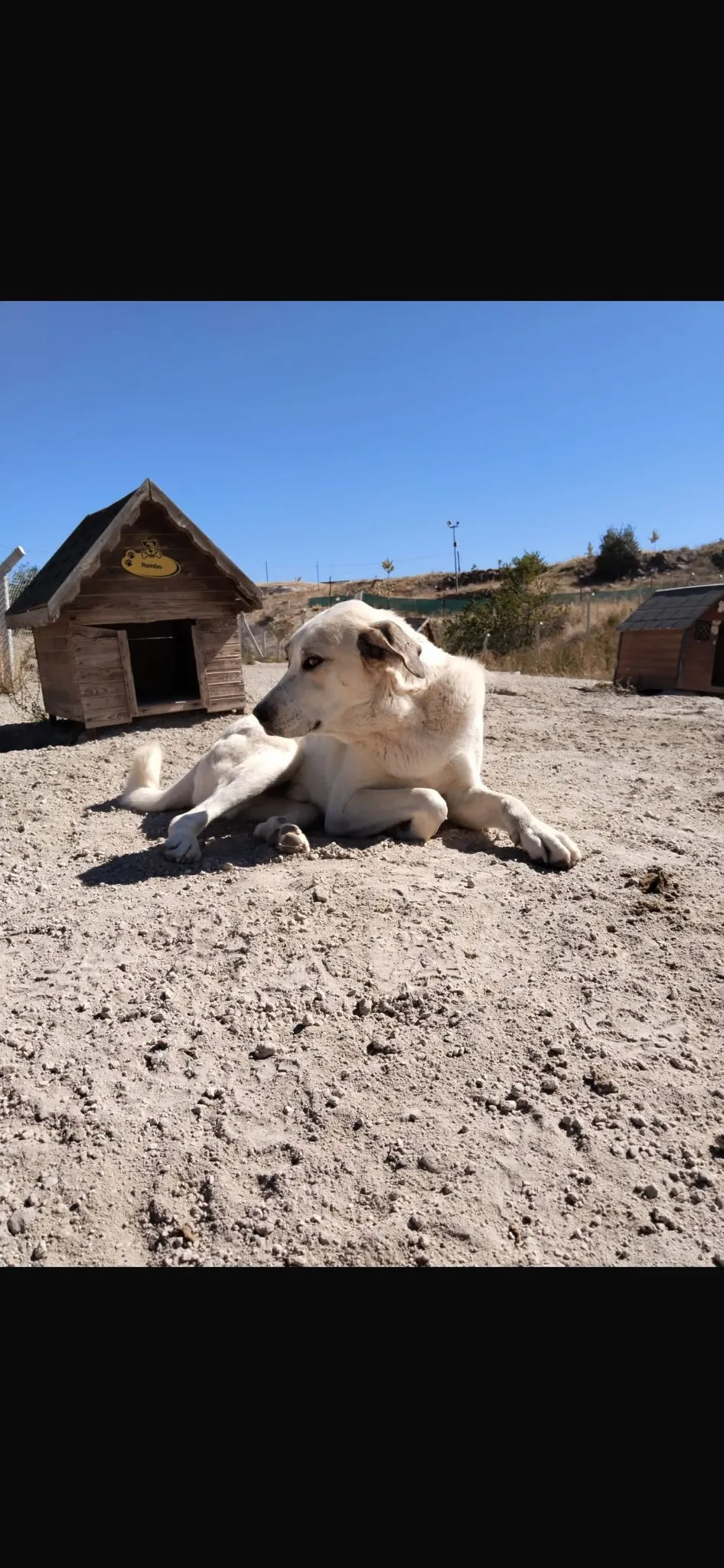 Kangal Kırması